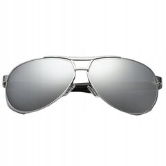 Saulesbrilles PolarSky Premium Aviator, sudraba цена и информация | Солнцезащитные очки для мужчин | 220.lv