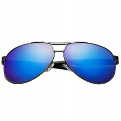 Saulesbrilles PolarSky Premium Aviator, zilas cena un informācija | Saulesbrilles  vīriešiem | 220.lv