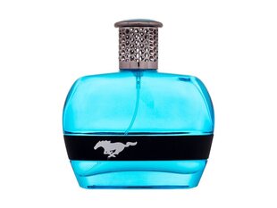 Tualetes ūdens Ford Mustang Blue EDT vīriešiem, 100 ml cena un informācija | Vīriešu smaržas | 220.lv