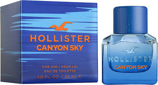 Tualetes ūdens Hollister Canyon Sky EDT vīriešiem, 100 ml cena un informācija | Vīriešu smaržas | 220.lv