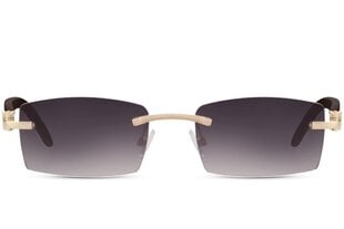 Мужские солнцезащитные очки Marqel L8148 цена и информация | Солнцезащитные очки для мужчин | 220.lv