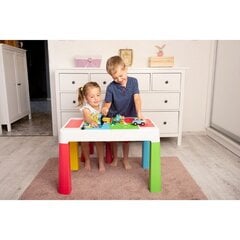 Столик+2 стула Tega Baby Multifun MF-006-106 Grey цена и информация | Детские столы и стулья | 220.lv