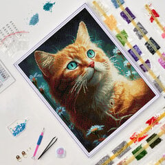 Dimantu mozaīkas komplekts uz rāmja TM Varvikas - Ginger cat LG337e 40x50 cm cena un informācija | Dimantu mozaīkas | 220.lv