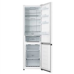 Hisense RB435N4BWE цена и информация | Холодильники | 220.lv