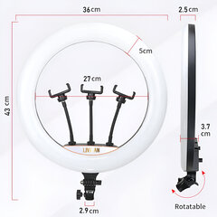 Светодиодный кольцевой светильник 18 дюймов на подставке, LIVMAN LJJ-36 (led ring) цена и информация | Осветительное оборудование для фотосъемок | 220.lv