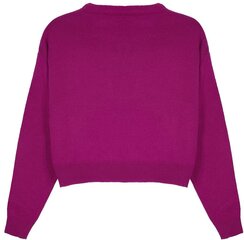 Pantoneclo džemperis sievietēm - PAN2022052 цена и информация | Женские кофты | 220.lv