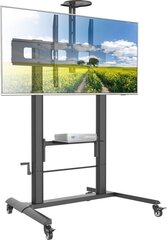 Techly ICA-TR230 ratiņu stovs ir ideāli piemērots interaktīvajam monitoram 52"-110", sverot līdz 120 kg, ar plūstošu regulējumu. cena un informācija | TV kronšteini | 220.lv