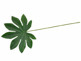 искусственные листья, 60 см цена и информация | цветочные соцветия 1 шт | 220.lv