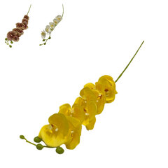 Mākslīgo orhideju pušķis cena un informācija | Mākslīgie ziedi | 220.lv