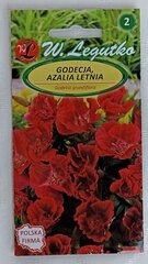Годеция крупноцветковая W. Legutko цена и информация | Семена цветов | 220.lv