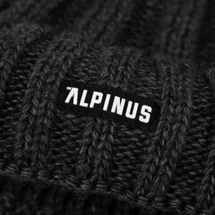 Alpinus Nuorgam ziemas cepure, pelēka цена и информация | Мужские шарфы, шапки, перчатки | 220.lv