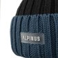 Ziemas cepure Alpinus Matind, zila цена и информация | Vīriešu cepures, šalles, cimdi | 220.lv