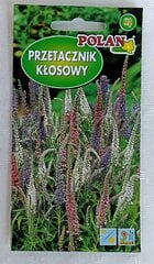 Вероника колосистая Polan цена и информация | Семена цветов | 220.lv