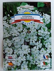 Гипсофила, белая Garden Elite цена и информация | Семена цветов | 220.lv