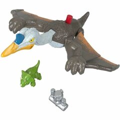 Dinozaurs Quetzalcoatlus ar piederumiem Fisher Price, pelēks/balts, 3 d. cena un informācija | Rotaļlietas zēniem | 220.lv