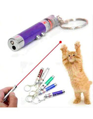 Kaķu lāzera rotaļlieta, Electronics LV-2131, 6 gab cena un informācija | Rotaļlietas kaķiem | 220.lv