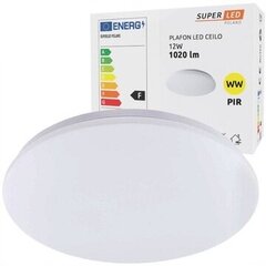 MasterLed LED потолочный светильник, 12Вт цена и информация | Потолочные светильники | 220.lv
