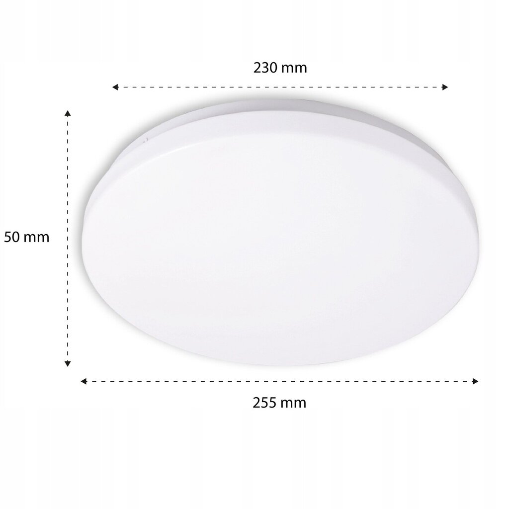 LED griestu lampa 12W cena un informācija | Griestu lampas | 220.lv