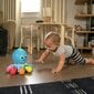 Interaktīva rotaļlieta Baby Einstein astoņkājis цена и информация | Rotaļlietas zīdaiņiem | 220.lv
