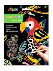 Skrāpējamo papīru komplekts Avenir 4 burvju putni цена и информация | Развивающие игрушки | 220.lv