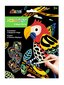 Skrāpējamo papīru komplekts Avenir 4 burvju putni цена и информация | Attīstošās rotaļlietas | 220.lv