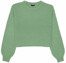 džemperis sievietēm Pantoneclo PAN2022018B, zaļš цена и информация | Женские кофты | 220.lv