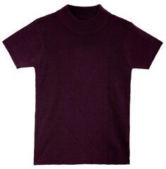 Džemperis sievietēm Pantoneclo PAN2022012F, violeta cena un informācija | Sieviešu džemperi | 220.lv