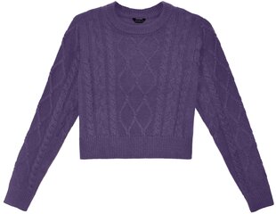 Pantoneclo džemperis sievietēm - PAN2022033, violets cena un informācija | Sieviešu džemperi | 220.lv