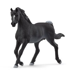 SCHLEICH HORSE CLUB Арабский скакун цена и информация | Игрушки для мальчиков | 220.lv