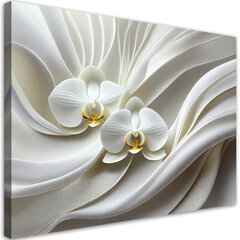 Gleznieciba uz audekla, Balta orhideja cena un informācija | Gleznas | 220.lv