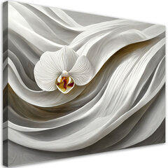 Glezna uz audekla Balta orhideja cena un informācija | Gleznas | 220.lv