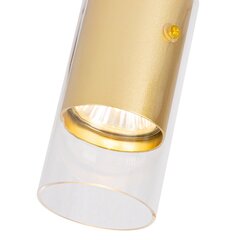 светильник для помещений, 230 в/50 гц цена и информация | Потолочные светильники | 220.lv
