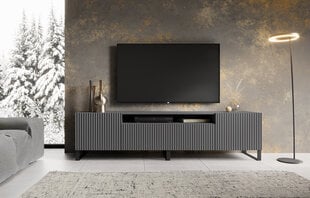 ТВ шкафчик ADRK Furniture Noemi, серый цвет цена и информация | Тумбы под телевизор | 220.lv