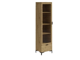 Шкафчик ADRK Furniture Lenea G013, коричневый цвет цена и информация | Шкафчики в гостиную | 220.lv