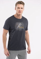 T-krekls vīriešiem T- Velox, pelēks cena un informācija | Vīriešu T-krekli | 220.lv