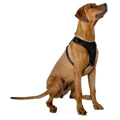 Плечевые ремни для собак с отражателями, 59-81 см цена и информация | Ошейники, подтяжки для собак | 220.lv