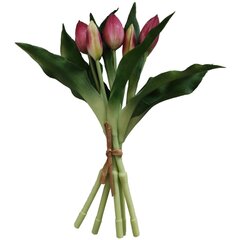 Violetas tulpes, 5 gab. cena un informācija | Mākslīgie ziedi | 220.lv