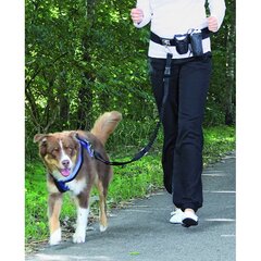 Siksna skriešanai, Pawise Doggy Jogger Kit cena un informācija | Apkakles, siksnas suņiem | 220.lv