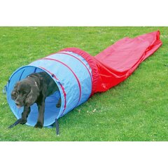 Tunelis Agility suņu apmācībai un spēlēšanai 5 metri cena un informācija | Suņu rotaļlietas | 220.lv