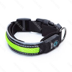 LED kaklasiksna suņiem, zaļa cena un informācija | Apkakles, siksnas suņiem | 220.lv