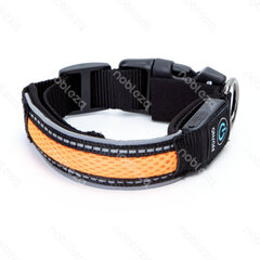 LED kaklasiksna suņiem, oranža cena un informācija | Apkakles, siksnas suņiem | 220.lv