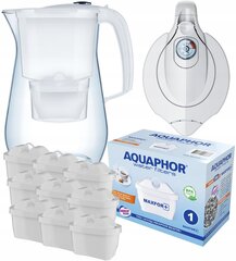 Aquaphor Onyx B25 Maxfor+, 9 шт. цена и информация | Фильтры для воды | 220.lv