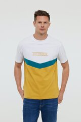 T-krekls vīriešiem Lee Cooper, dažādas krāsas cena un informācija | Vīriešu T-krekli | 220.lv