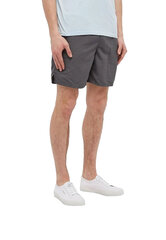 Nike Шорты Для Купания M Ess 7"Volley Short Grey NESSA559 018 NESSA559 018/L цена и информация | Мужские шорты | 220.lv