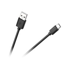 Uzlādējam USB lukturis цена и информация | Фонарики | 220.lv