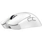 Razer Viper V3 Pro White (RZ01-05120200-R3G1) цена и информация | Peles | 220.lv