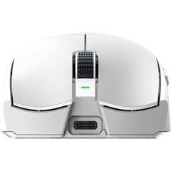 Razer Viper V3 Pro Белый цвет (RZ01-05120200-R3G1) цена и информация | Мыши | 220.lv