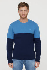 Džemperis vīriešiem, zils cena un informācija | Vīriešu džemperi | 220.lv