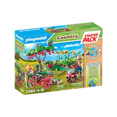 71380 Playmobil Country Vegetable Garden фигурки цена и информация | Конструкторы и кубики | 220.lv