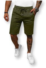 Nickel мужские шорты 53083 02, зелёный 53083*02-XL цена и информация | Мужские шорты | 220.lv